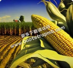 专业客服全天候，陪伴零距离 - 咪咕