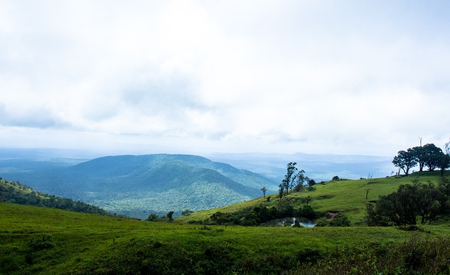 的单一路径 的单一路径