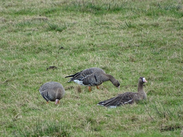 本场比赛 本场比赛