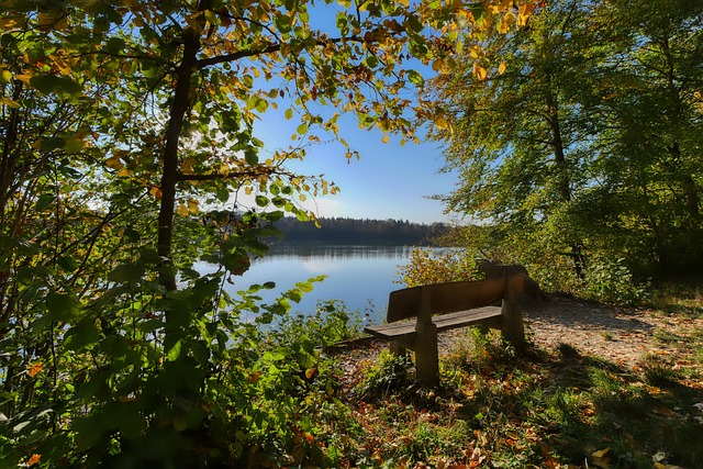 作为球队的 作为球队的