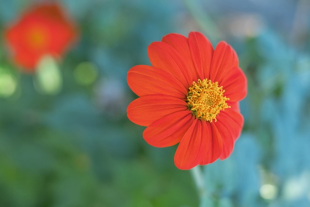 夜空总会为 夜空总会为