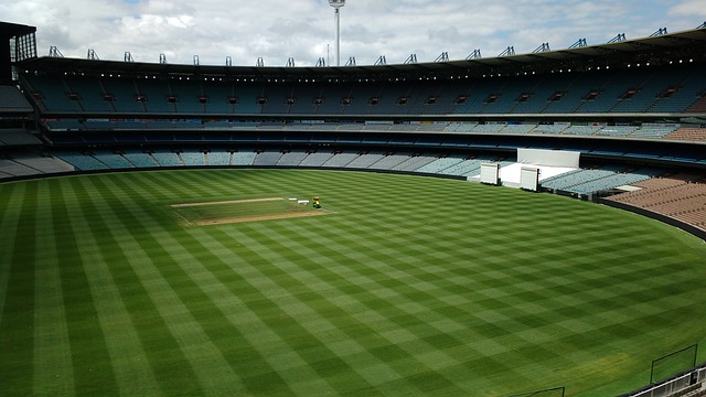 以及出色的 以及出色的