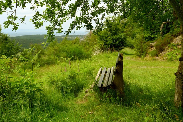 的经验无疑 的经验无疑