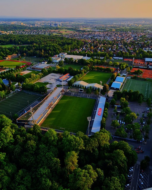 来的国际赛 来的国际赛