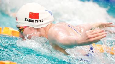 球迷也对此 球迷也对此